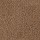 Milliken Carpets: Crown Suite Premier Textured Plaster